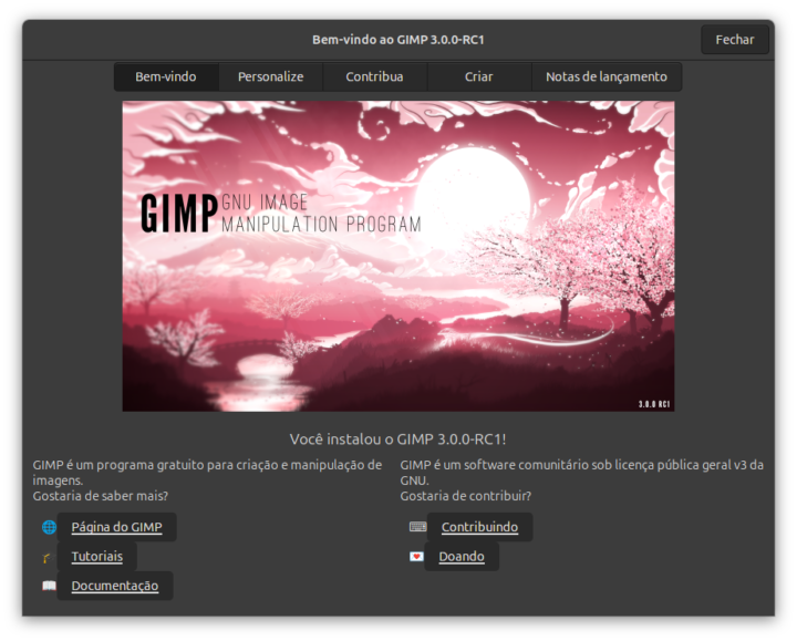 GIMP 3 0 RC1 traz edição de imagem não destrutiva e novas ferramentas 2