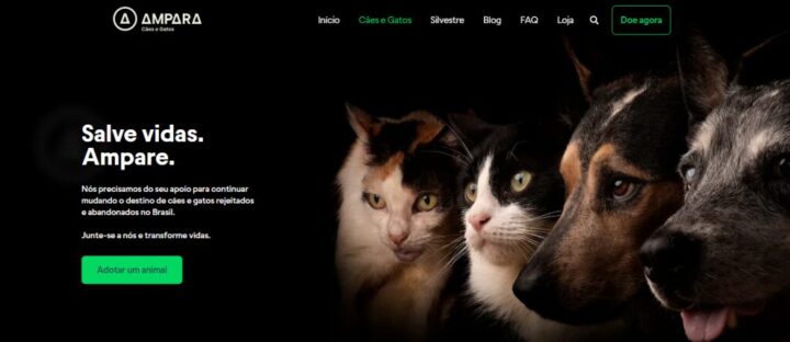 Site do Instituto Ampara