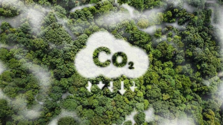 Nuvem com a escrita CO2acima de uma floresta