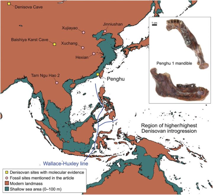 Mapa do local de encontro do fóssil nomeado como Penghu 1 e alguns registros fotográficos da mandíbula (Imagem: Tsutaya et al./Paleoanthropology)