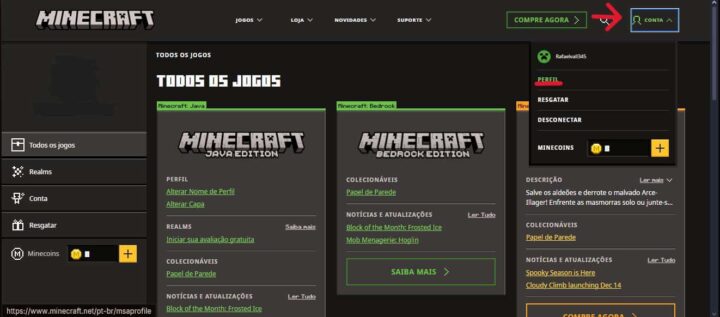 Reprodução da Tela do Minecraft (Reprodução: Marcelo Valladão)