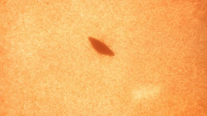 Streptococcus salivarius