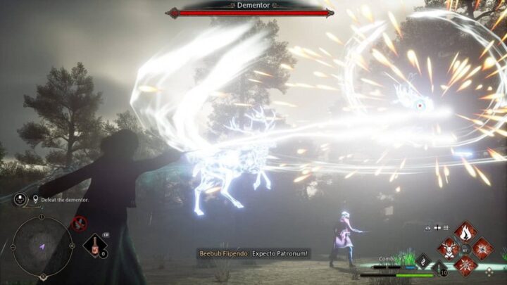 EXPECTO PATRONUM!. Imagem: Reprodução