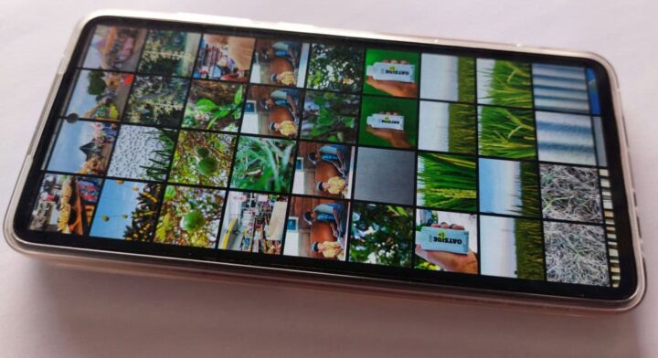 Imagem mostra tela da galeria de fotos de um celular Samsung