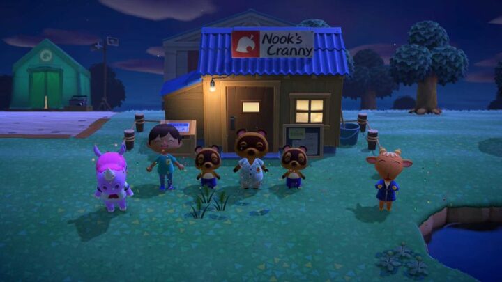 Animal Crossing: New Horizons - Nintendo Switch 2 Edition