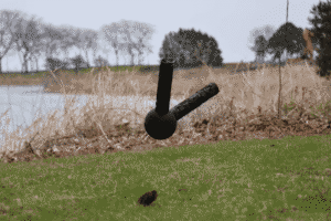 Vídeo: conheça o robô indestrutível feito por IA