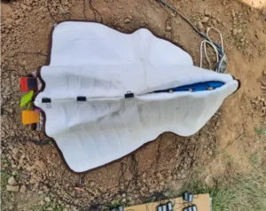 Como este dinossauro chocava ovos sem quebrá-los? Cientistas recriam “incubadora” pré-histórica