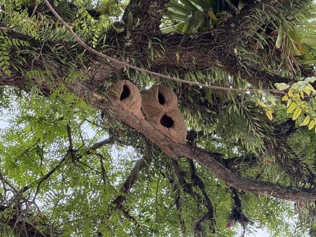 iPhone 17 Pro - Câmera periscópio/zoom 8x