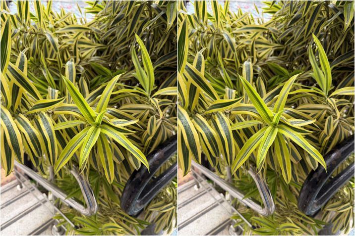 iPhone 17 Pro x Motorola Signature - Câmera principal