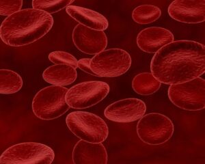 Terapia CAR-T agora pode ser usada mais cedo contra os cânceres no sangue