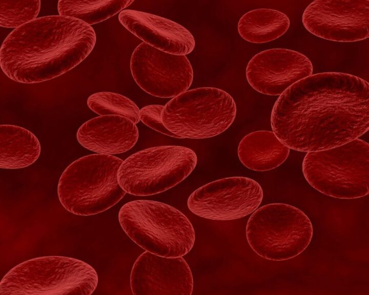 Células de sangue dentro do corpo