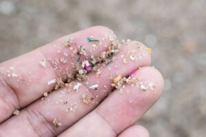 Microplásticos já contaminam rações para cães e gatos