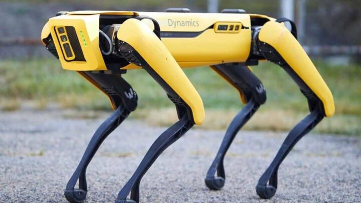 Cão-robô Spot, da Boston Dynamics, na rua