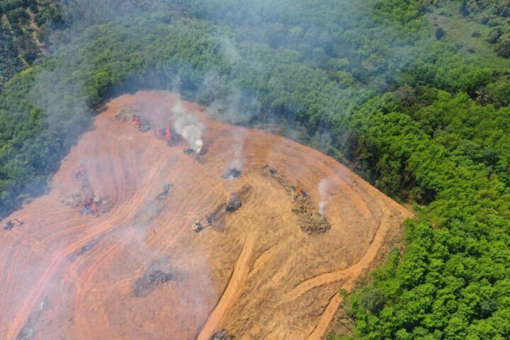 Secas históricas expõem risco de colapso na Amazônia